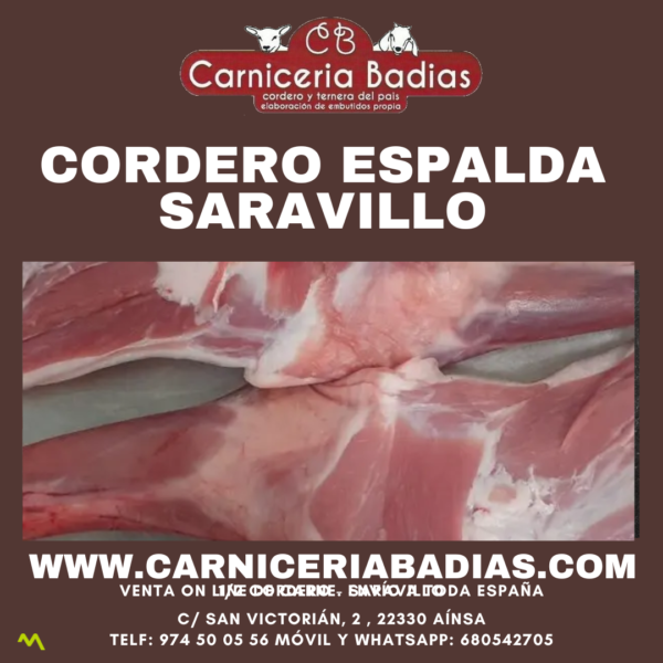 CORDERO ESPALDA -SARAVILLO